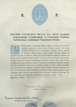 Diploma de honoris causa 