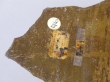 Lmina de meteorito acondrtico de ferro - MIN.ELM.00069