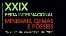 XXIX Feira Internacional de Minerais, Gemas e Fósseis