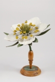 Modelo flor do moranqueiro-bravo (<em>Fragaria vesca</em>)
