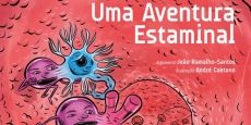 UMA AVENTURA ESTAMINAL
