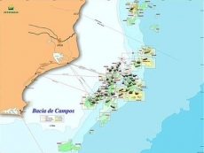 Tect&oacute;nica Extensional e Sedimenta&ccedil;&atilde;o das Bacias do Leste Brasileiro enfocando a Bacia de Campos