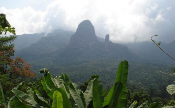 Ilha do Pr�ncipe, Reserva da Biosfera desde 2012