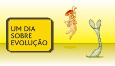 UM DIA SOBRE EVOLU&Ccedil;&Atilde;O