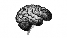 COMBATE AO ESTIGMA E PROMO&Ccedil;&Atilde;O DA SA&Uacute;DE MENTAL