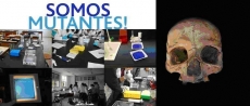 Somos todos Neandertais? O que nos dizem as novas evid&ecirc;ncias f&oacute;sseis e gen&eacute;ticas.