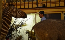 VISITA &Agrave; GALERIA DE ZOOLOGIA