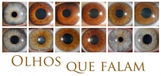 VIS&Otilde;ES. O INTERIOR DO OLHO HUMANO