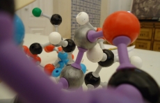 A QU&Iacute;MICA &Agrave; NOSSA VOLTA