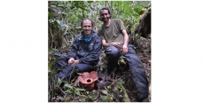 SEMIN&Aacute;RIO EM ECOLOGIA E EVOLU&Ccedil;&Atilde;O