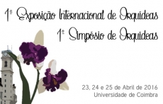 ORQU&Iacute;DEAS