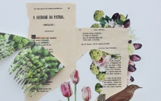 Bird-Watching: Visualiza&ccedil;&otilde;es da Influ&ecirc;ncia da \"Can&ccedil;&atilde;o do Ex&iacute;lio\"
