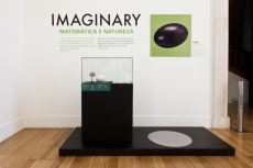 IMAGINARY - MATEM&Aacute;TICA E NATUREZA