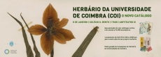 HERB&Aacute;RIO DA UNIVERSIDADE DE COIMBRA 