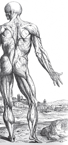 MEDICINA EM COIMBRA: NOTA HIST&Oacute;RICA E EVOCA&Ccedil;&Atilde;O DA OBRA DE COSTA SIM&Otilde;ES