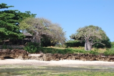 HIST&Oacute;RIAS DE MO&Ccedil;AMBIQUE