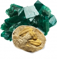 XXIII FEIRA INTERNACIONAL DE MINERAIS, GEMAS E F&Oacute;SSEIS DE COIMBRA