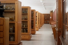 VISITA &Agrave; GALERIA DE ANATOMIA PATOL&Oacute;GICA