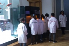 Escola Ci&ecirc;ncia Viva no Museu da Ci&ecirc;ncia da UC
