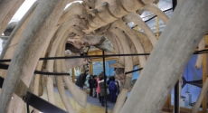 S&Aacute;BADOS NO MUSEU