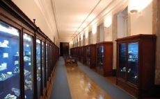 VISITA &Agrave; GALERIA DE MINERALOGIA