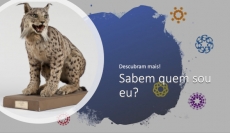 SABEM QUEM SOU EU? � DESAFIO 1