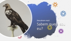 SABEM QUEM SOU EU? � DESAFIO 3