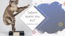 SABEM QUEM SOU EU? � DESAFIO 4