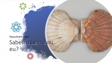 SABEM QUEM SOU EU? � DESAFIO 8