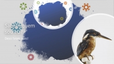 SABEM QUEM SOU EU? � DESAFIO 9