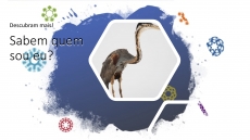 SABEM QUEM SOU EU? � DESAFIO 12