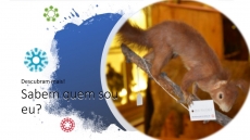 SABEM QUEM SOU EU? � DESAFIO 13
