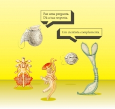 UM LIVRO SOBRE EVOLU&Ccedil;&Atilde;O