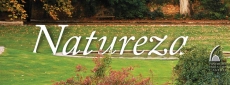 5. &ordm; FESTIVAL DAS ARTES