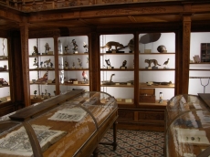 VISITAS &Agrave; GALERIA DE ZOOLOGIA